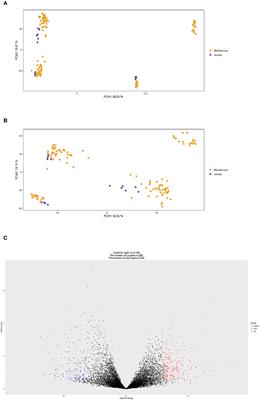 Machine Learning Reveals Ets2 as a Novel Target for Membranous Nephropathy Treatment and Its Role in Immune Infiltration